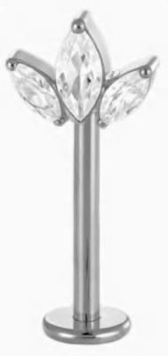 Labret FT-T-ST549