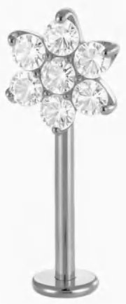 Labret FT-T-ST550