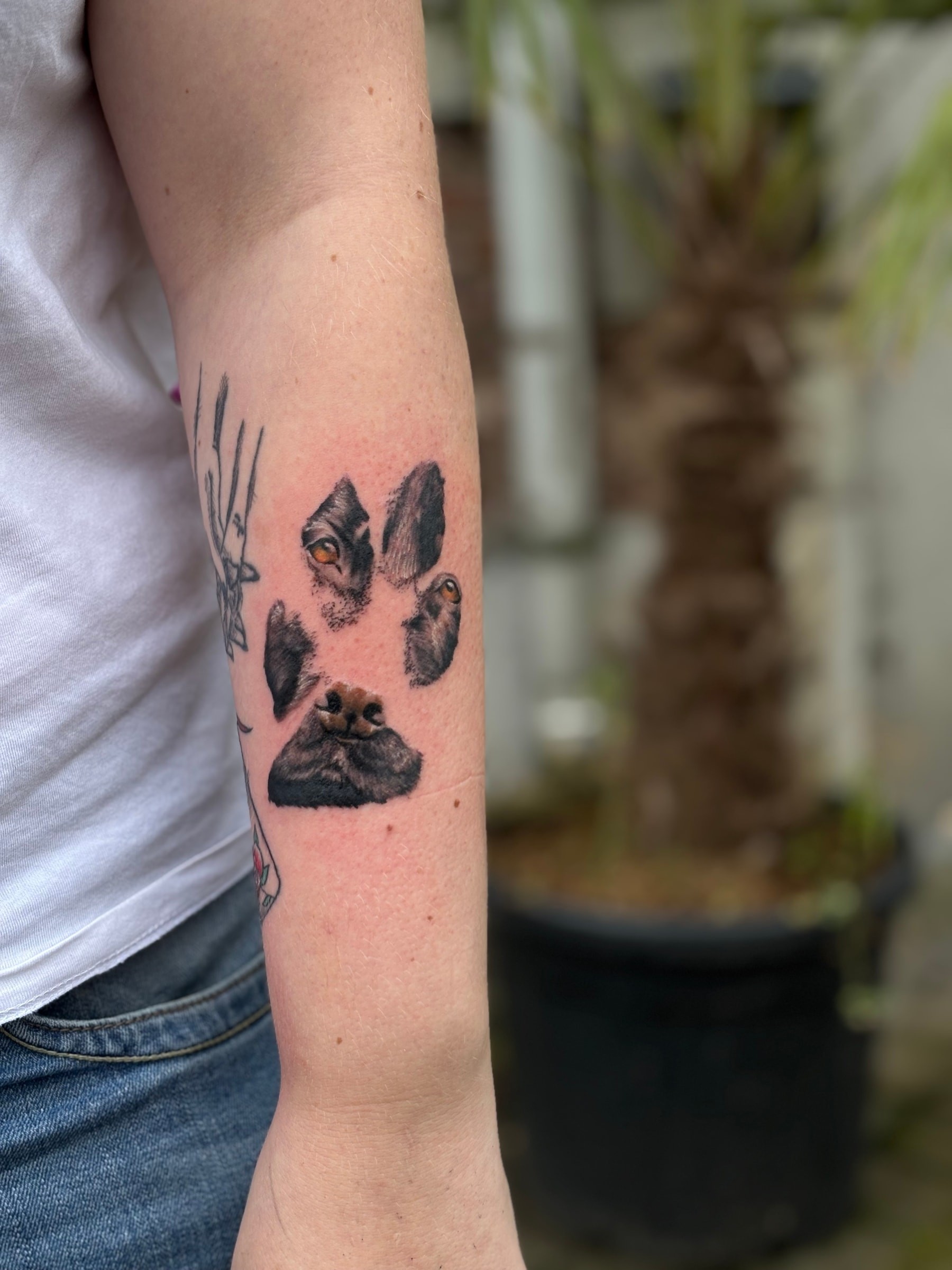 Tatouage en black & grey capturant l'essence d'un compagnon à quatre pattes à travers un portrait minimaliste et réaliste.